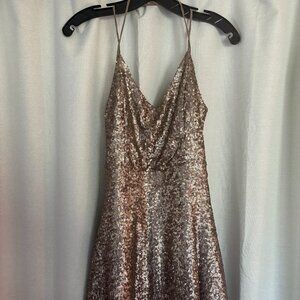 Tobi Sparkly Sequin Dress